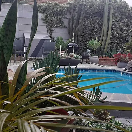 Mi Amor Accommodation Cape Town Exterior photo